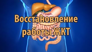 Как улучшить здоровье и внешний вид