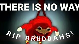 RIP UGANDA KNUCKLES ??