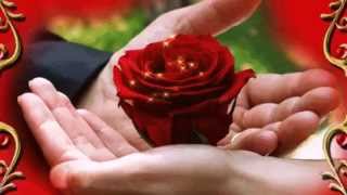 В твой день рождения цветы и поздравления. Birthday - Dentist and Fisun
