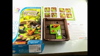 Запасливые белки. Логическая игра. Бондибон.Bondibon. Обзор