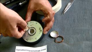 Replacing a B&W diaphragm for the series 601 S2, 602 S2, 603 S2, 604 S2,605 S2
