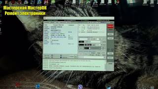 Что делать, если жесткий диск HDD стал щелкать перед определением в системе