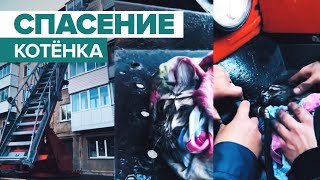 Спасение котёнка из горящего дома — видео