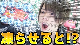 【衝撃】蒲焼さん太郎を冷凍するとマジで美味い！？