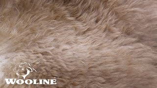 Wooline® - Ovčí kožešina hnědá - přírodní