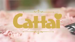 Cattai Inverno 2018