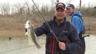 Feeder Creek Crappie