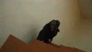 Crazy Russian student disturbs the class, FUNNY!