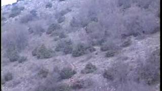 αρτουά και ζωντανός λαγός_vol.1_2010
