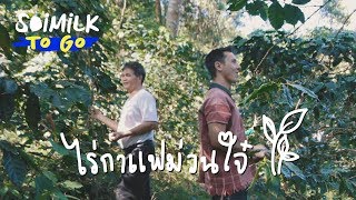 Soimilk To Go: ไร่กาแฟม่วนใจ๋