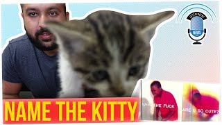 Off The Record: We Found a Kitty at the Office!