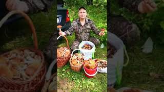 Сбор грибов под Звенигородом 22 июля 2019 года.