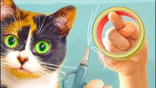 5 Experimente von Slivki Show