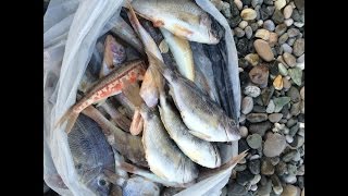 Как я рыбачил в Абхазии на море. Ловля барабульки, ставридки и морского карася.