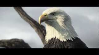Assassin's Creed 3 - Trailer