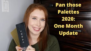 Pan Those Palettes 2020 | Update #1