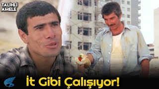Talihli Amele - Mehmet Ali Hayallerinin Peşinde!