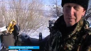 Дорого обошлась охота браконьерам