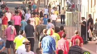 Primer Encierro de Medina del Campo - San Antolín 2014