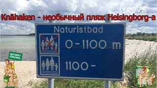 Пляж нудистов-натуристов в Швеции. Съезд с Дании в Швецию / №46