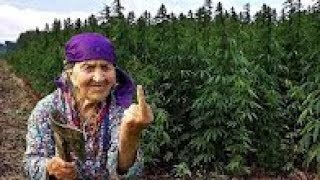 5 безумных БАБУШЕК (БАБУШКА СТРИПТИЗЁРША)