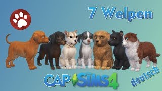 Sims 4 - CAP-Video - 7 Welpen - Hunde & Katzen
