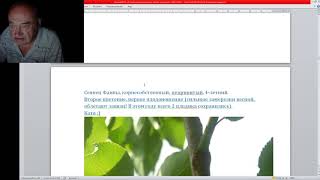 Абрикосы Железова Покоряют Европу - Реальный Опыт