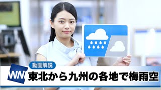お天気キャスター解説 7月15日(水)の天気