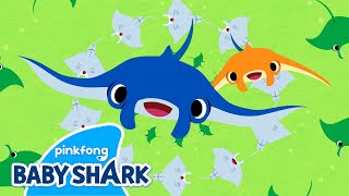 Super-Duper Manta Ray | Sea Animals Song | Baby Shark and Sea Animals 