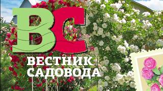 Укрытие штамбовых роз с Алексеем Степановым
