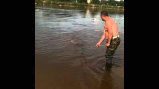 Сазан в Конаково