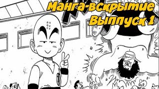 Манга-Вскрытие. Выпуск 1 | Проникновенная посылочка #2