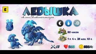 Дракономания/Как вывести епического дракона Ледышка.?! Получилось.:-)