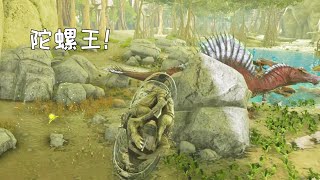 方舟生存進化33：我馴服了壹頭猛獸，取名陀螺王，碾壓棘背龍！