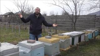 Наше мнение про цену пчелопакетов на 2020 год 10.02.2020