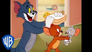 Tom & Jerry in italiano | Classico Dei Cartoni Animati 141 