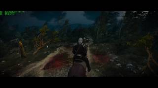 The Witcher 3 sli gtx 1070 FE 2560 x 1080p/3440 x 1440p ultra