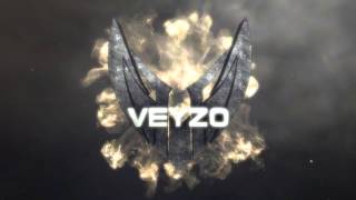 Introduction VeyZo | Grunge