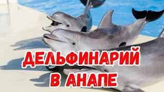 АНАПА, ДЕЛЬФИНАРИЙ