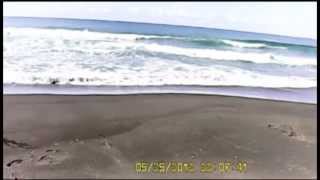 pescata ad ansedonia