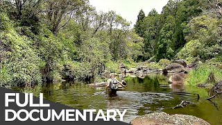 Amazing Quest: Stories from Hawaiii | Somewhere on Earth: Hawaiii
