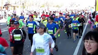 さが桜マラソン・2019.3.24ｽﾀ-ﾄ1