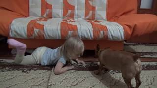 Мы в гостях Алиса и собачка Альма играют We're guests Alice and the dog Alma play