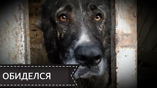 МОЙ ПИТОМНИК - 28 октябрь 2018год