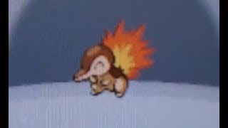 Shiny Cyndaquil after 854 SRs (2,562 seen) in Heart Gold! Trio complete after 7 phases!