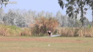 Walkera V120D03 3D Flight