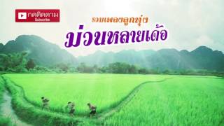 รวมเพลงลูกทุ่งม่วนหลายเด้อ
