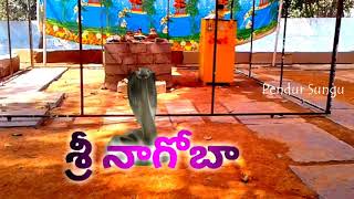 Keslapur Sri Nagoba ☆ Temple Nagoba Jathara