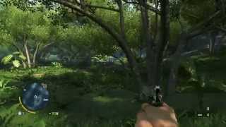 Far Cry 3 Gameplay