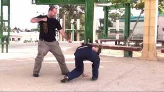 הגנה עצמית - מגוון הגנות נגד התקפות Variety of defenses against attacks